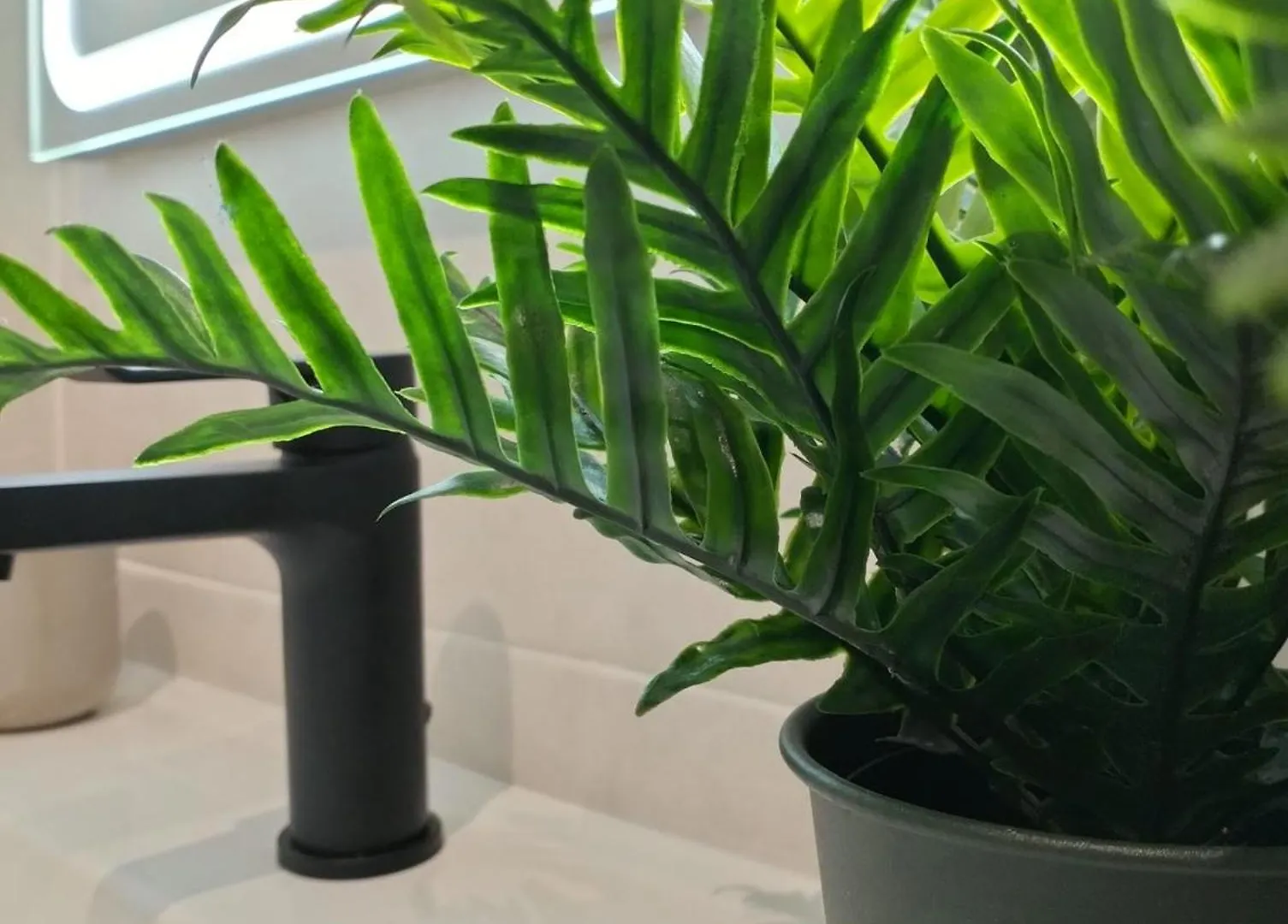 Apartamento Verdemare Corralejo